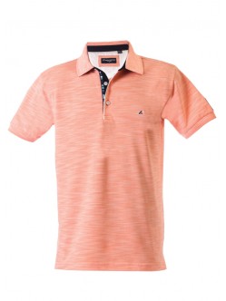 Polo yaka, iki renkli özel pike nakışlı t-shirt